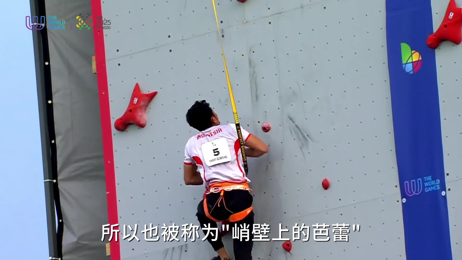 个人四条道 个人四条道