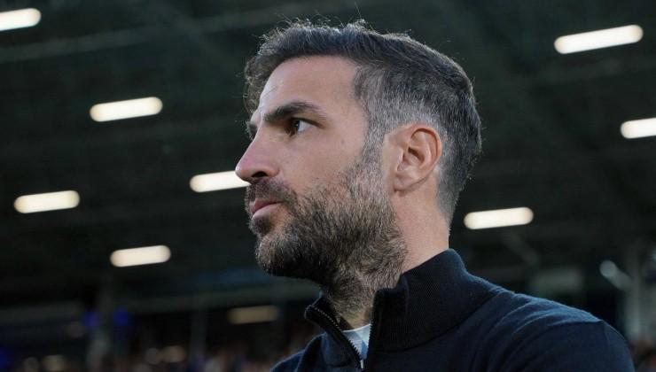 我需要和莫, 的选择