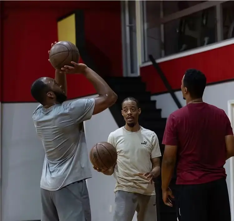 img, 视频中芬尼