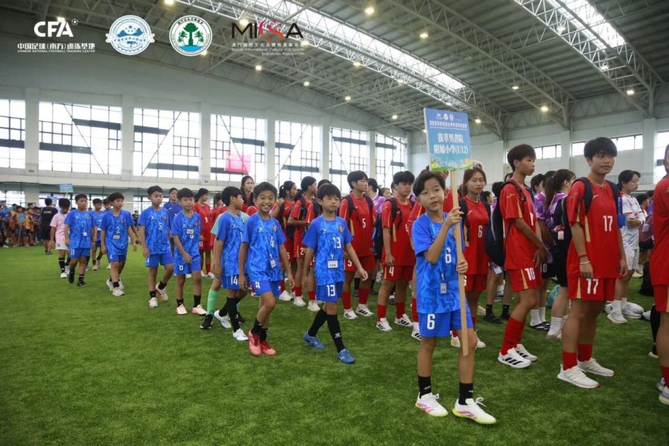 txiC, 院董事局主